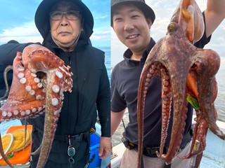 【釣果速報】兵庫県こうじん丸でマダコのヒット連発！トップ50匹でクーラーボックス満タン！存分にファイトを楽しめる今が乗船どき！