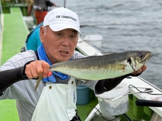 【釣果速報】神奈川県はやぶさ丸はアジ絶好調！51cmのギガアジもキャッチ！数もサイズも大満足間違いなし！