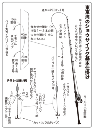 東京湾のショウサイフグ基本仕掛け