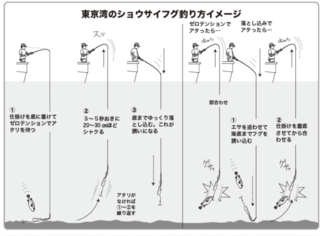 東京湾のショウサイフグ釣り方イメージ