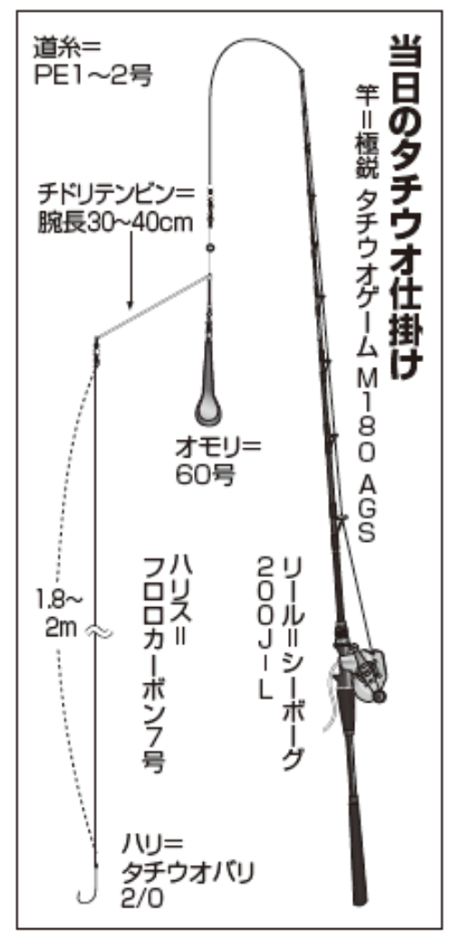 当日のタチウオ仕掛け