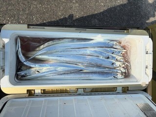 釣果