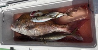 釣果