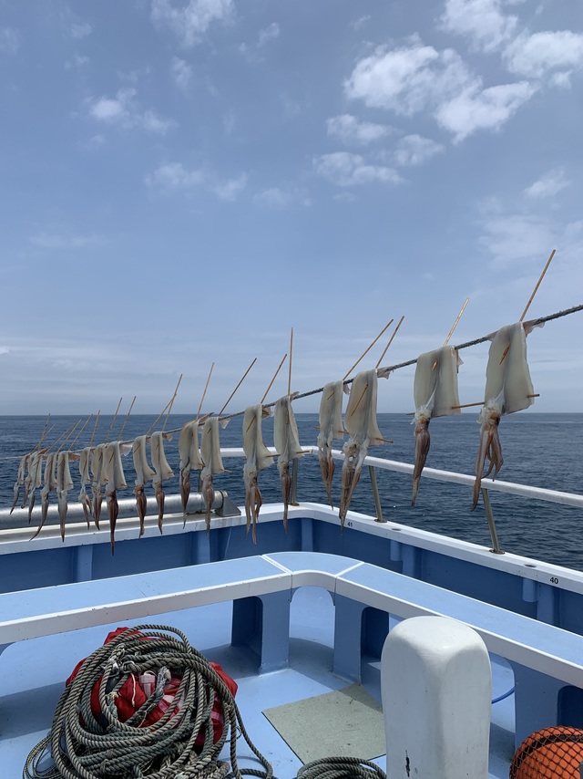 釣果