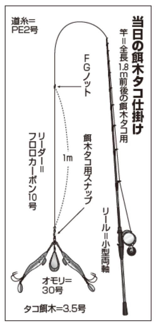 当日の餌木タコ仕掛け