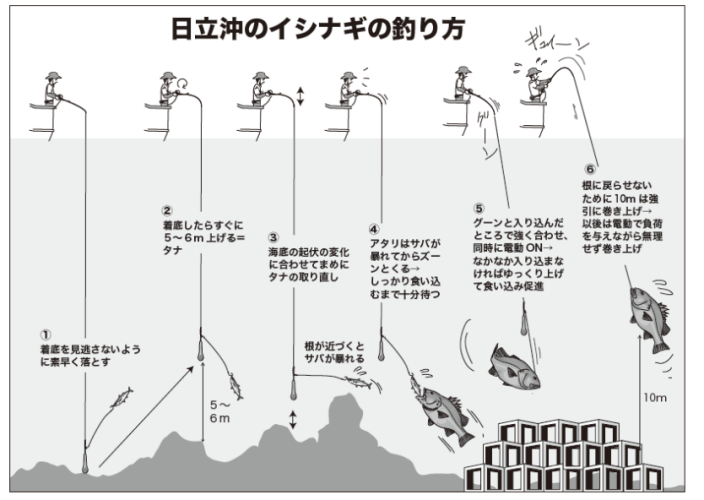日立沖のイシナギの釣り方