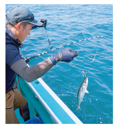 釣行の写真