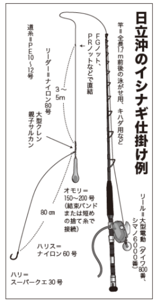 日立沖のイシナギ仕掛け例