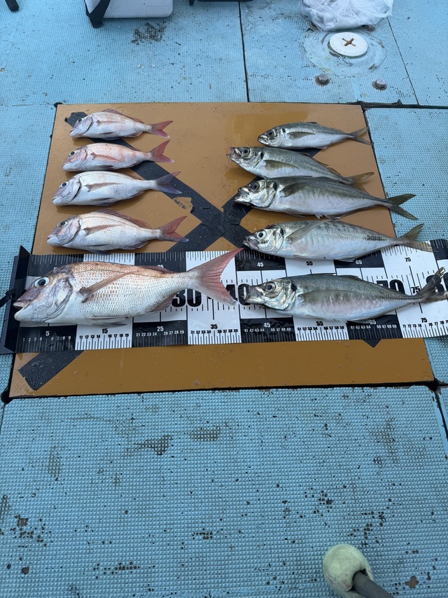 釣果