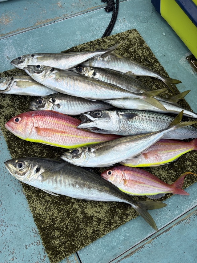 釣果