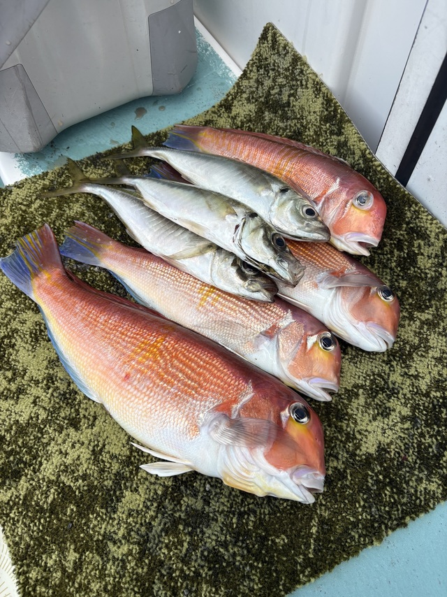釣果