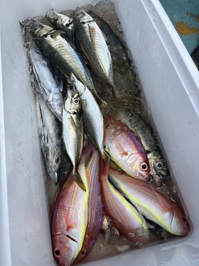釣果