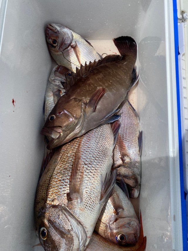 釣果