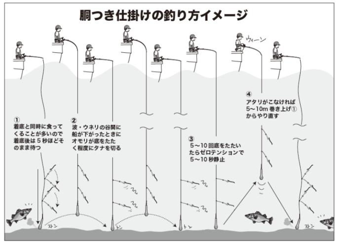 胴つき仕掛けの釣り方イメージ