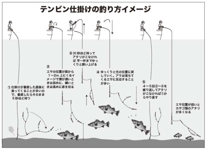 テンビン仕掛けの釣り方イメージ