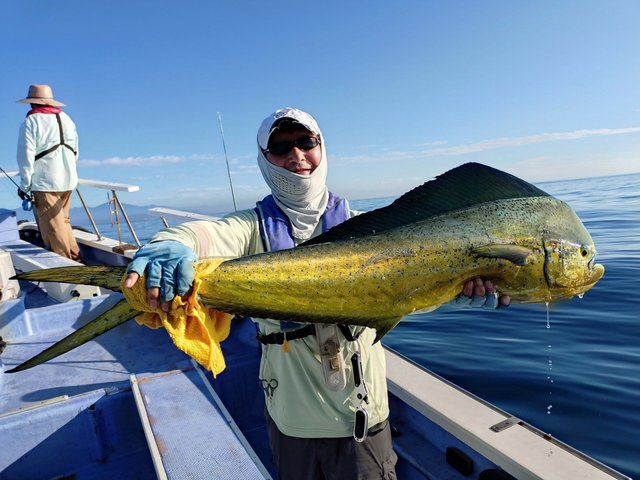釣果