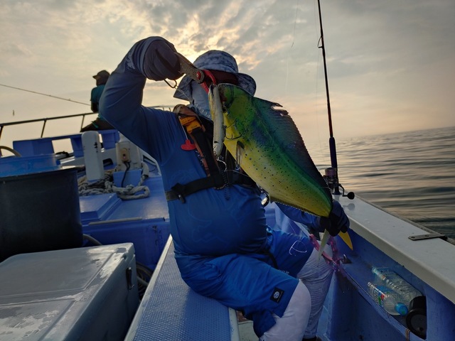 釣果