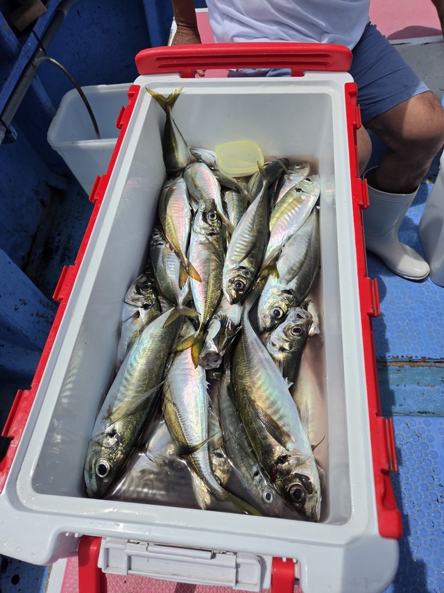 釣果
