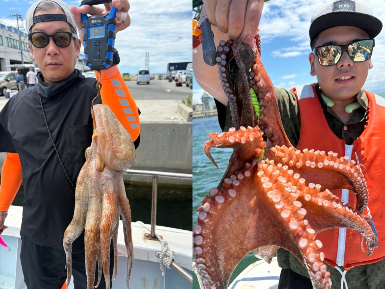【釣果速報】兵庫県こうじん丸でマダコ釣り好調！最大2.30kg！好調の今、ぜひ乗船予約を！