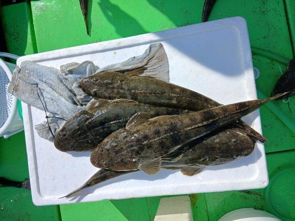 釣果