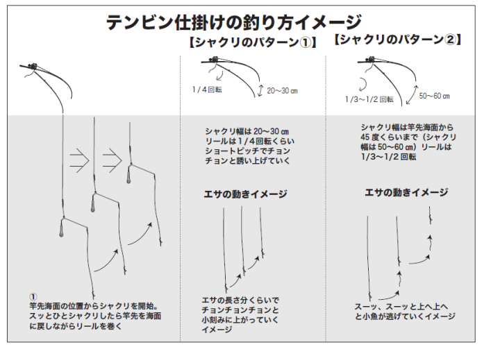テンビン仕掛けの釣り方イメージ