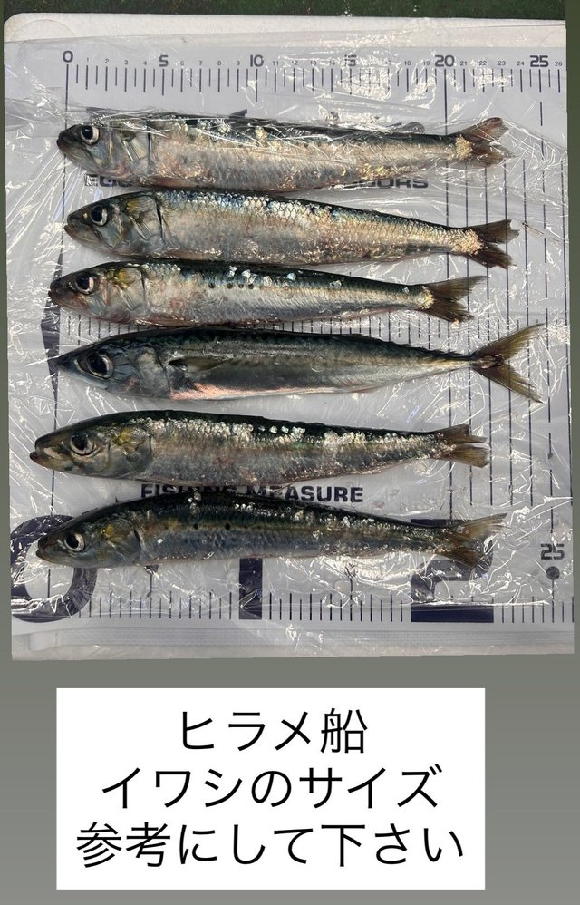 釣果