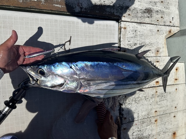 釣果