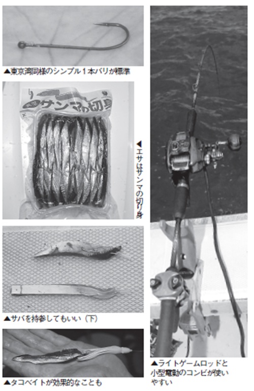 仕掛けの写真