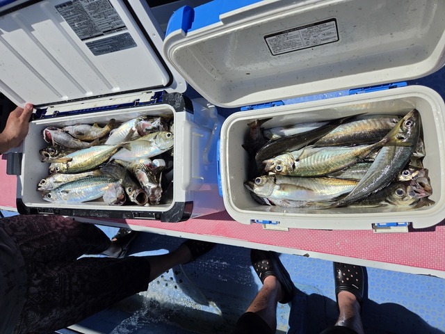 釣果