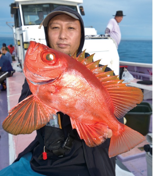 釣行の写真