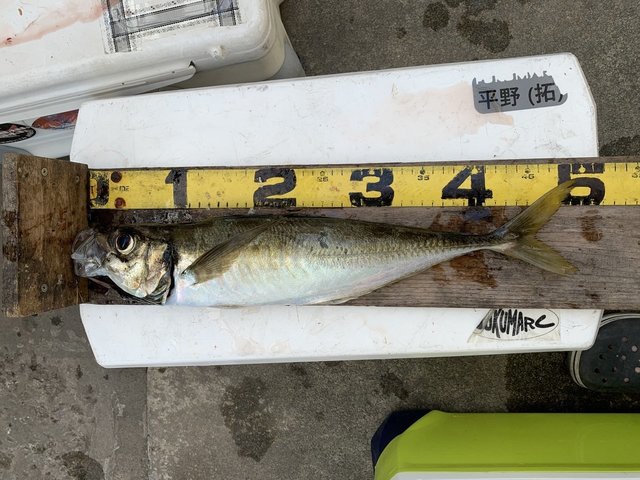 釣果