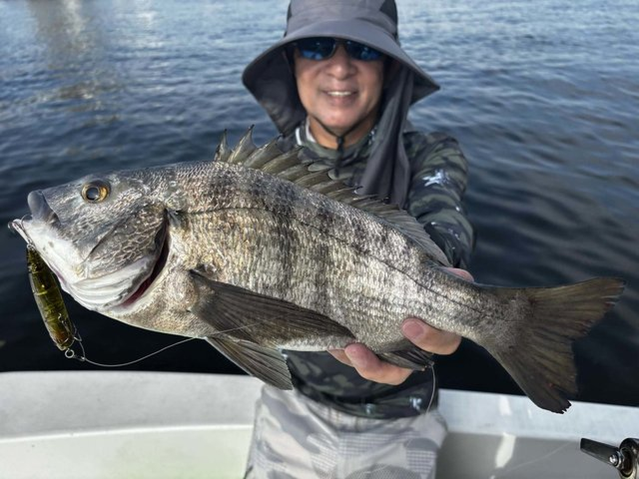 【釣果速報】神奈川県PALLAS FISHING GUIDE SERVICEでチヌGET達成！最大48cmのビッグチャンス到来中！