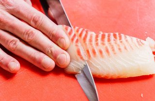 釣った魚を熟成させよう 旨味が増える熟成魚の秘密を解明 作り方もご紹介いたします