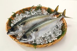 釣った魚を熟成させよう 旨味が増える熟成魚の秘密を解明 作り方もご紹介いたします