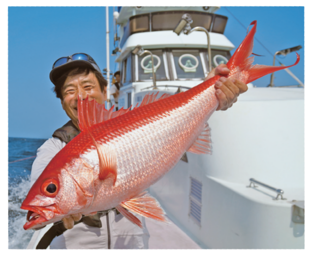 釣行の写真