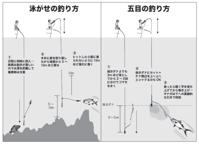 泳がせの釣り方・五目の釣り方