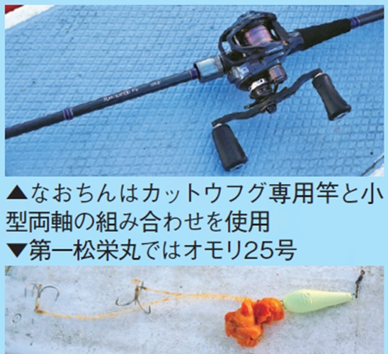 仕掛けの写真