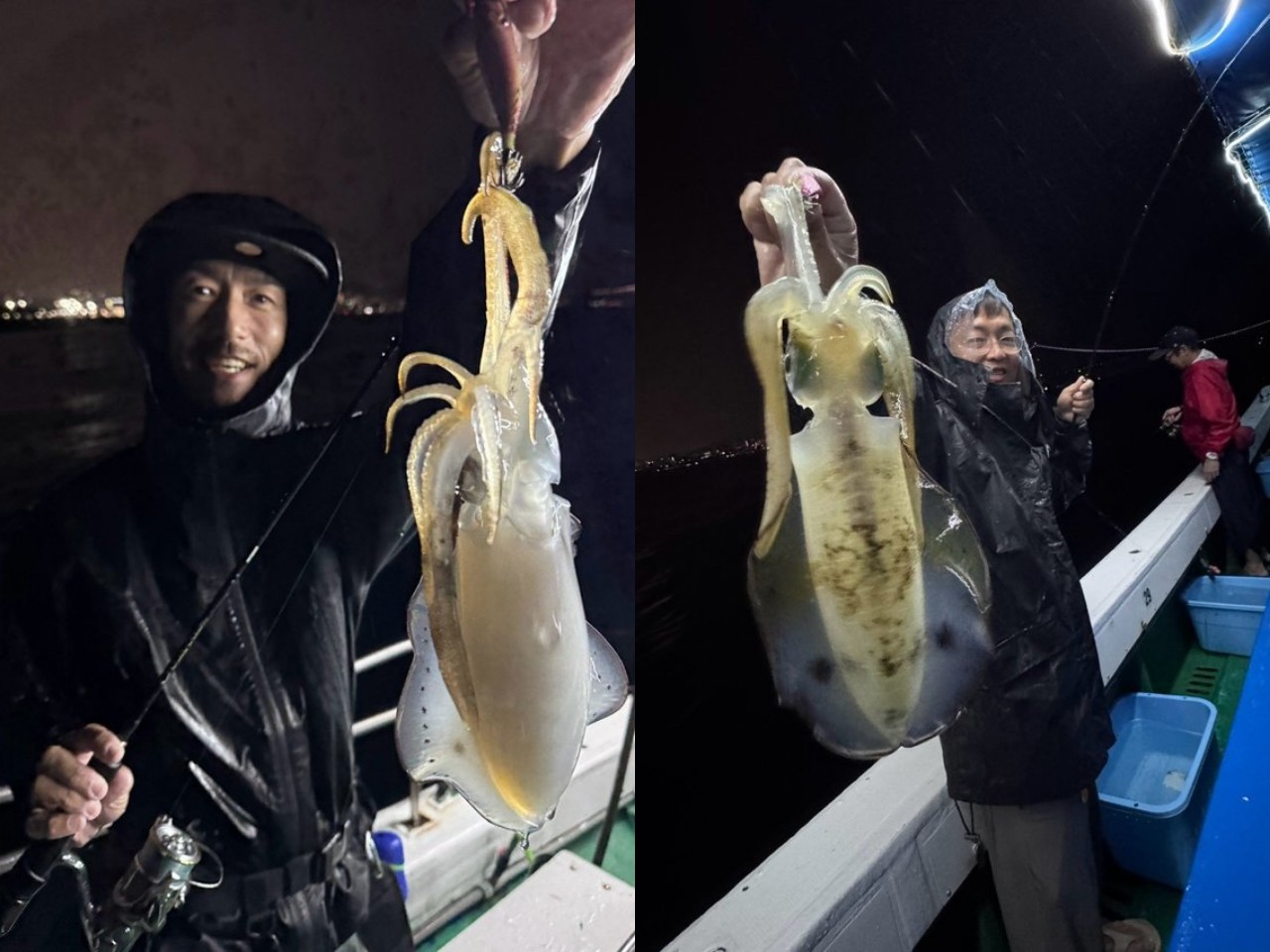 【釣果速報】合計79匹のアオリイカをゲット！兵庫県海蓮丸で普段食べられない高級イカをゲットしよう！