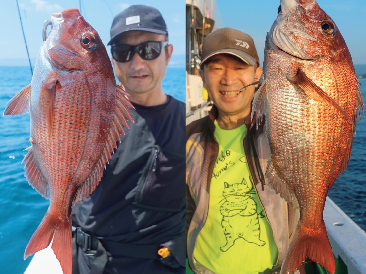 浮いた反応を狙い撃ち！日立沖のマダイ好調継続