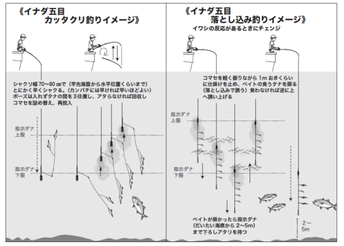 イナダ五目カッタクリ釣りイメージ／イナダ五目落とし込み釣りイメージ