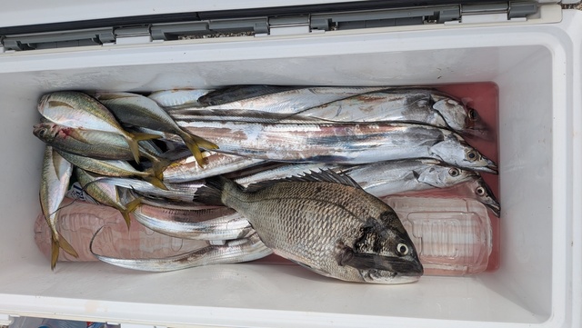 釣果