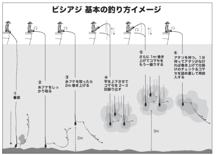 ビシアジ　基本の釣り方イメージ