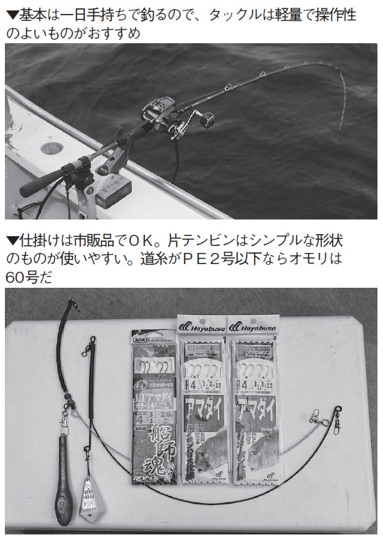 仕掛けの写真