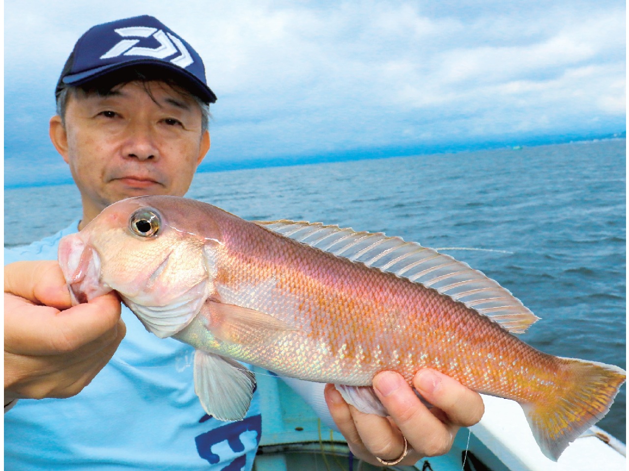 おいしい魚の代表格アマダイ　深場で始まれば本番だ！