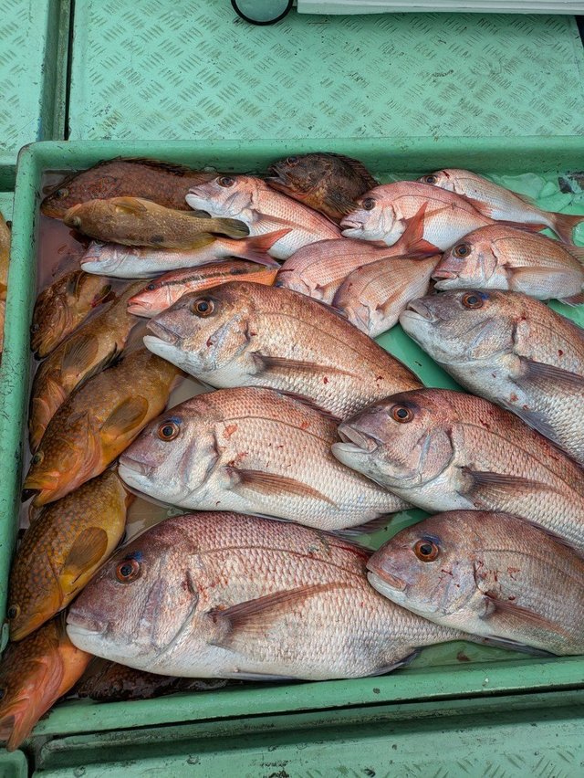 釣果