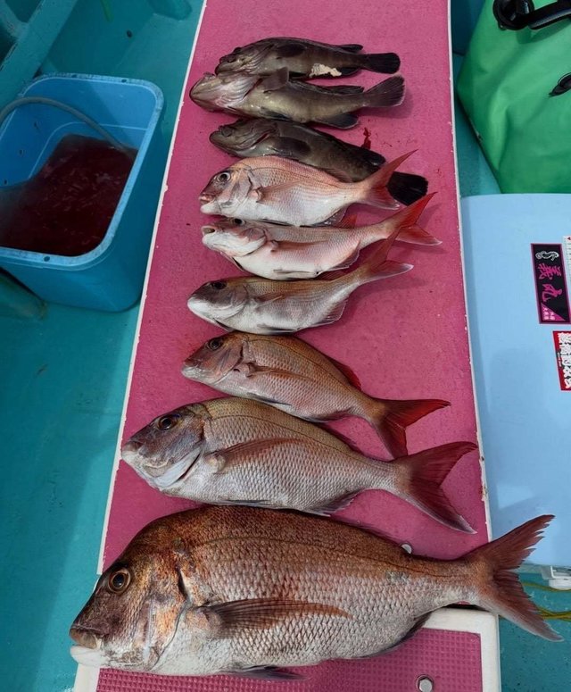 釣果