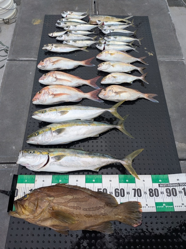釣果