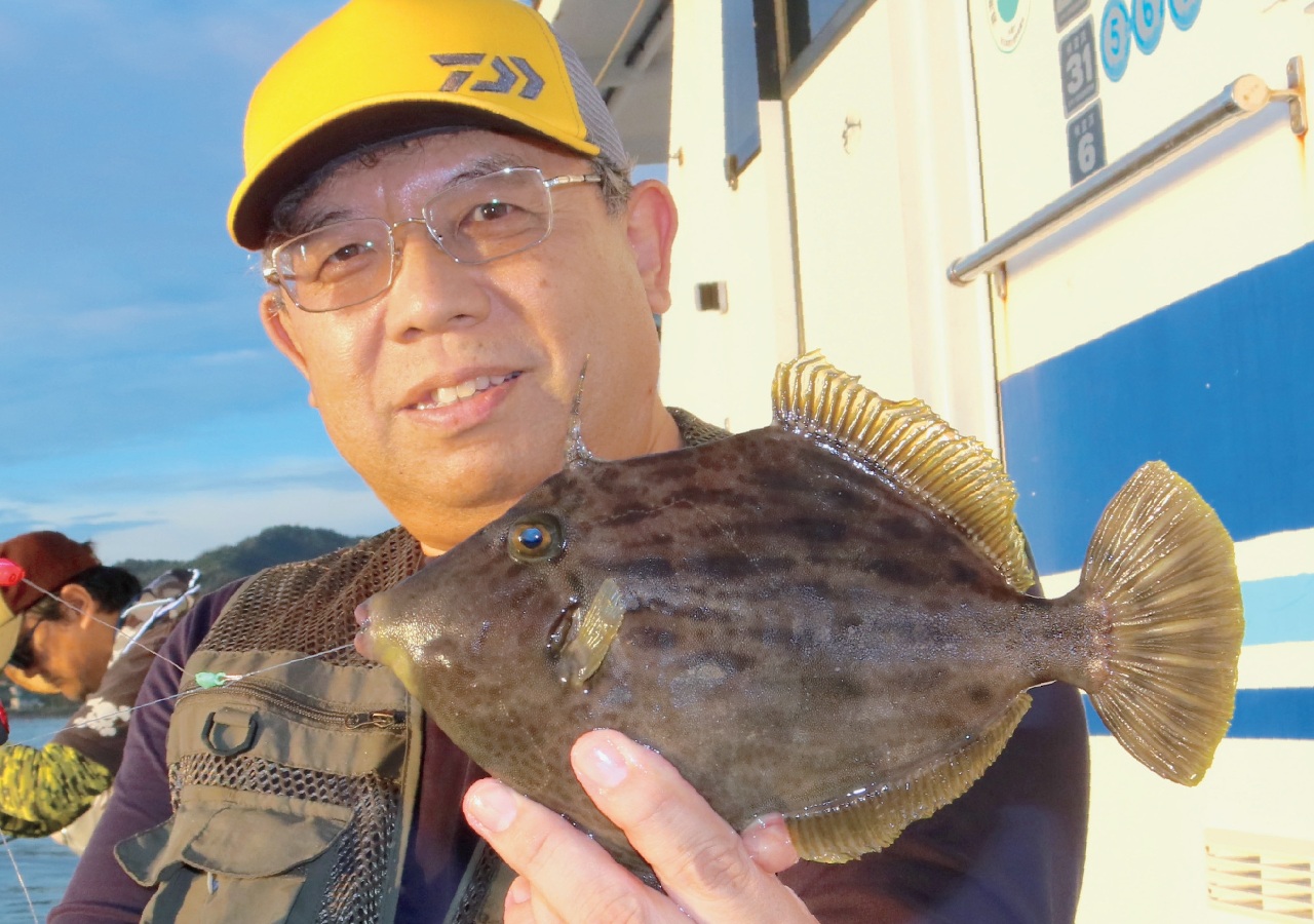 今秋もサイズよし！　間もなく本番　館山湾のカワハギ