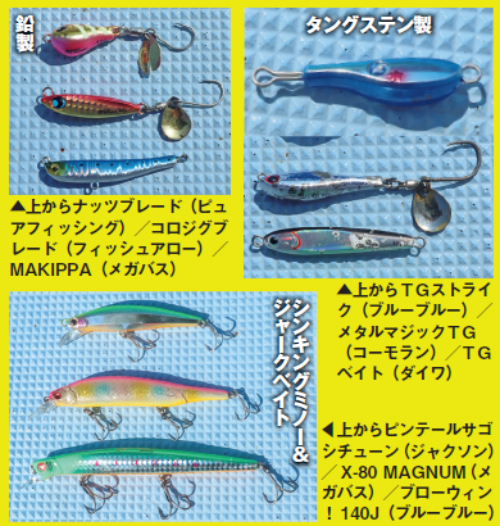 船長おすすめ
