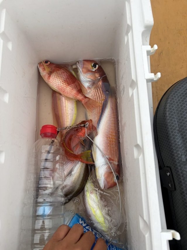 釣果